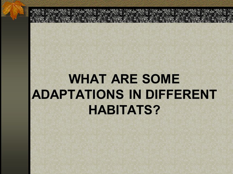What are some adaptations in different habitats