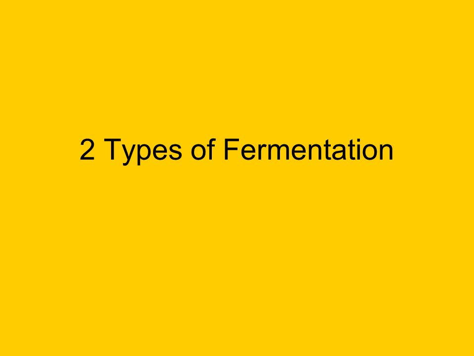 2 Types of Fermentation