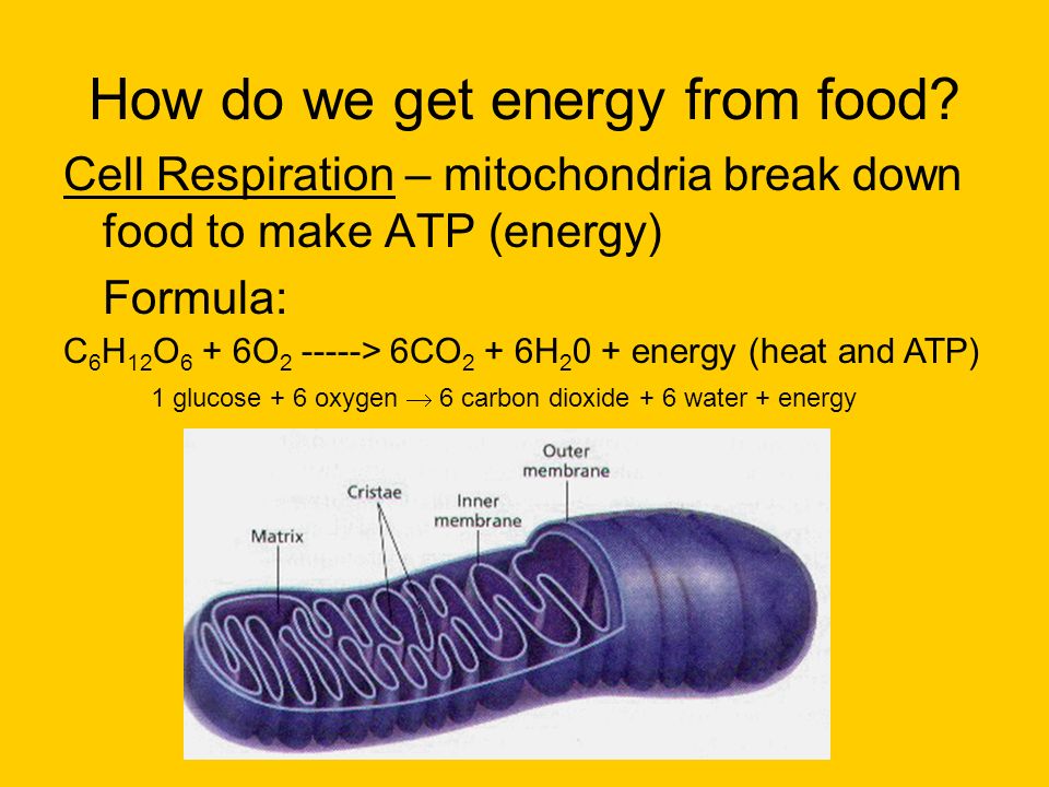 How do we get energy from food