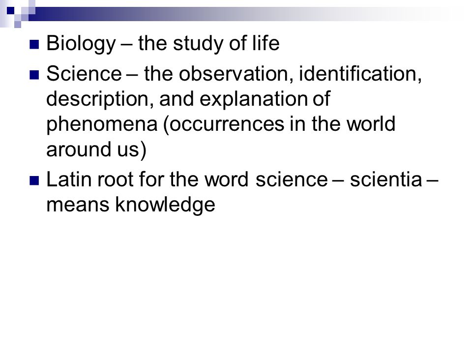 Biology – the study of life