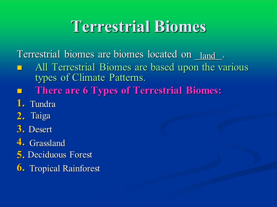 Terrestrial Biomes Terrestrial biomes are biomes located on _____.