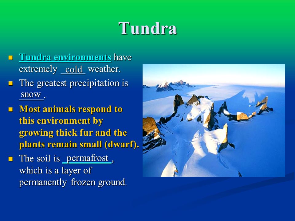 Tundra Tundra environments have extremely _____ weather.