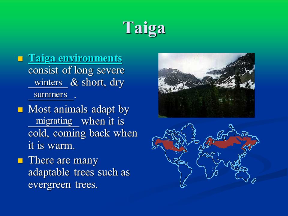 Taiga Taiga environments consist of long severe _______ & short, dry ________.