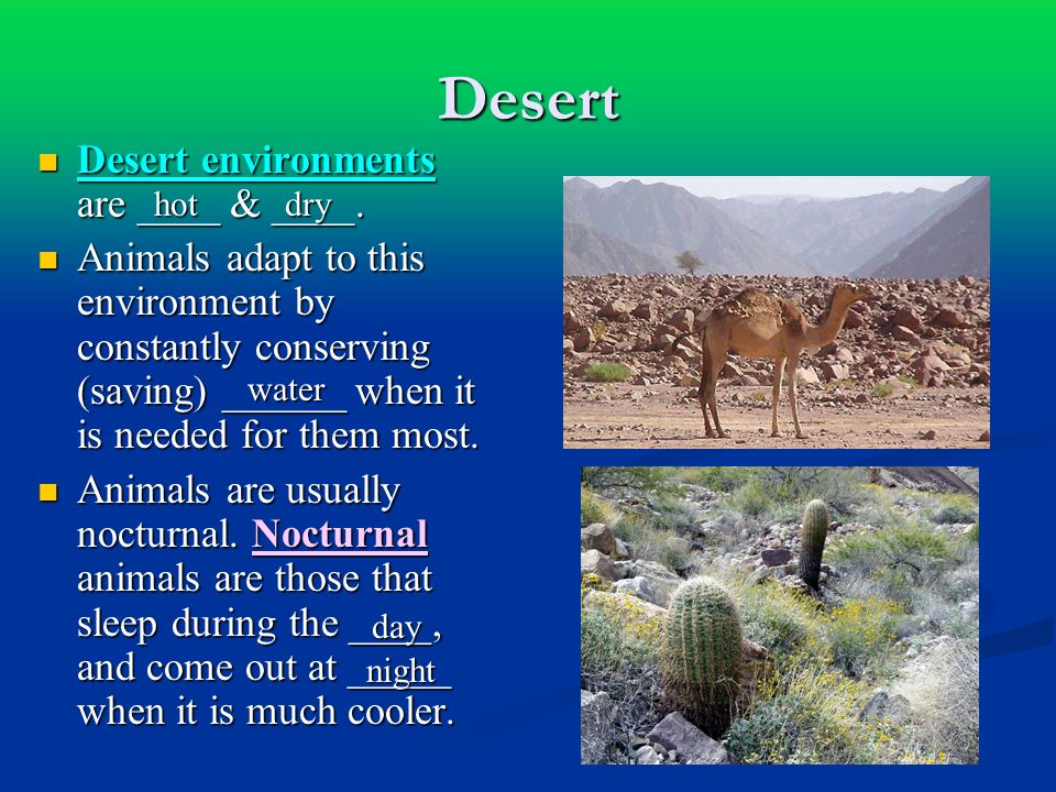 Desert Desert environments are ____ & ____.