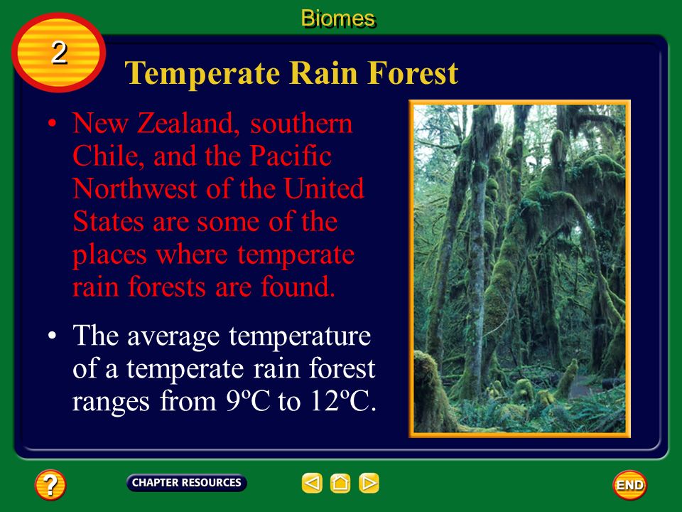 Biomes 2. Temperate Rain Forest.
