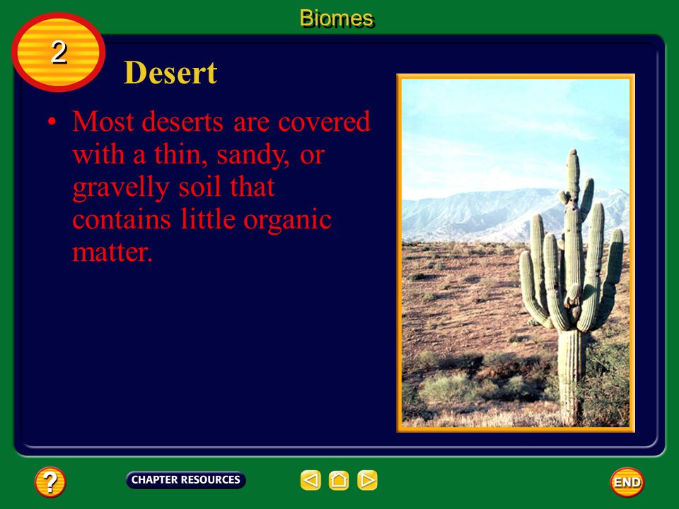 Biomes 2. Desert.