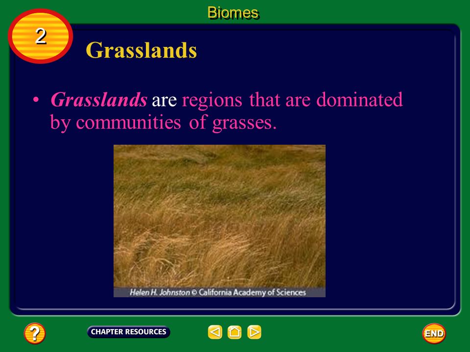 Biomes 2 Grasslands Grasslands are regions that are dominated by communities of grasses.