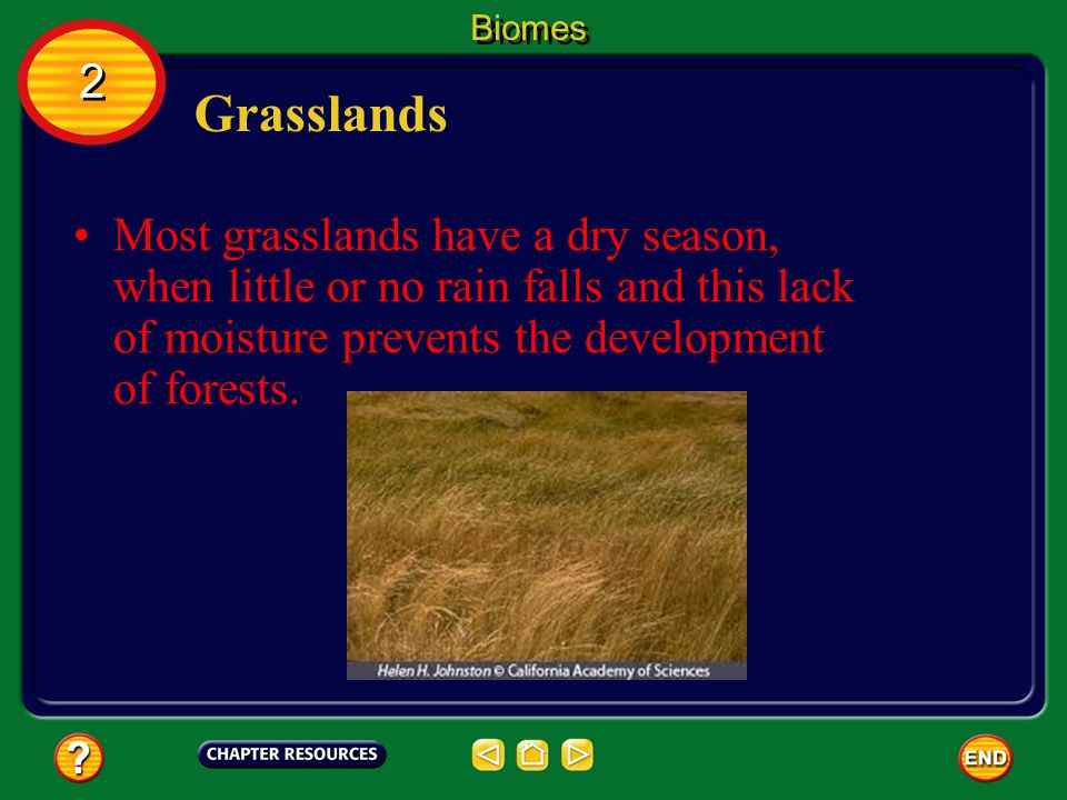 Biomes 2. Grasslands.