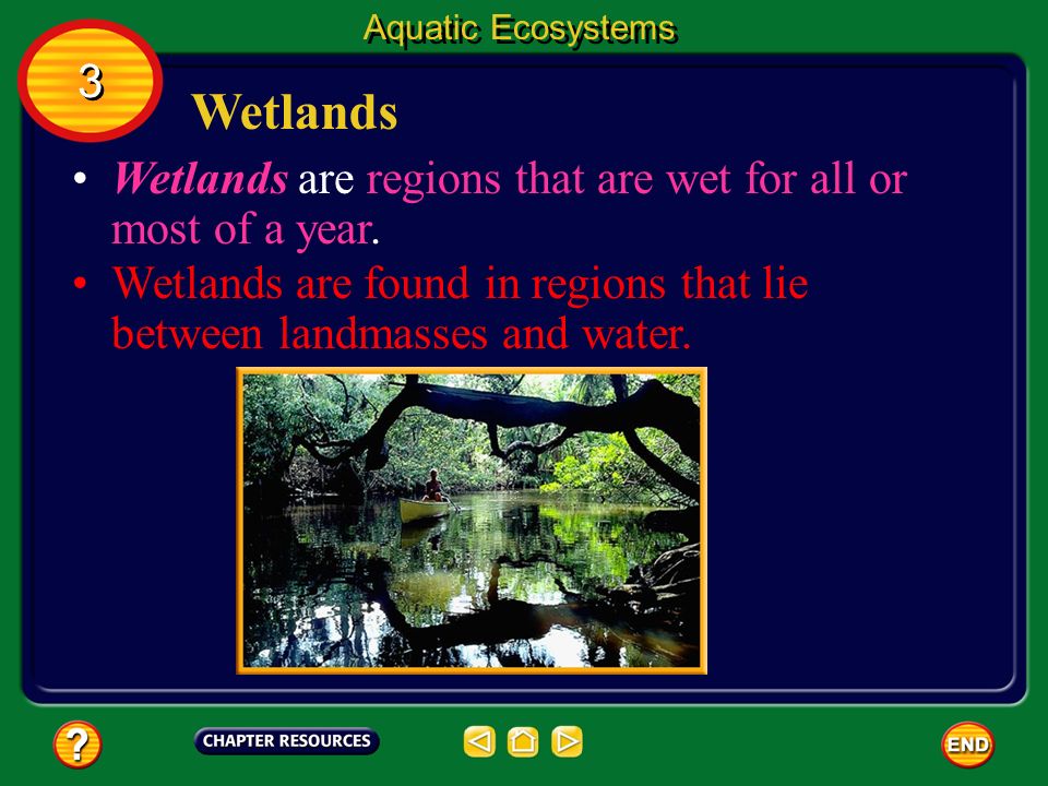 Aquatic Ecosystems 3. Wetlands. Wetlands are regions that are wet for all or most of a year.