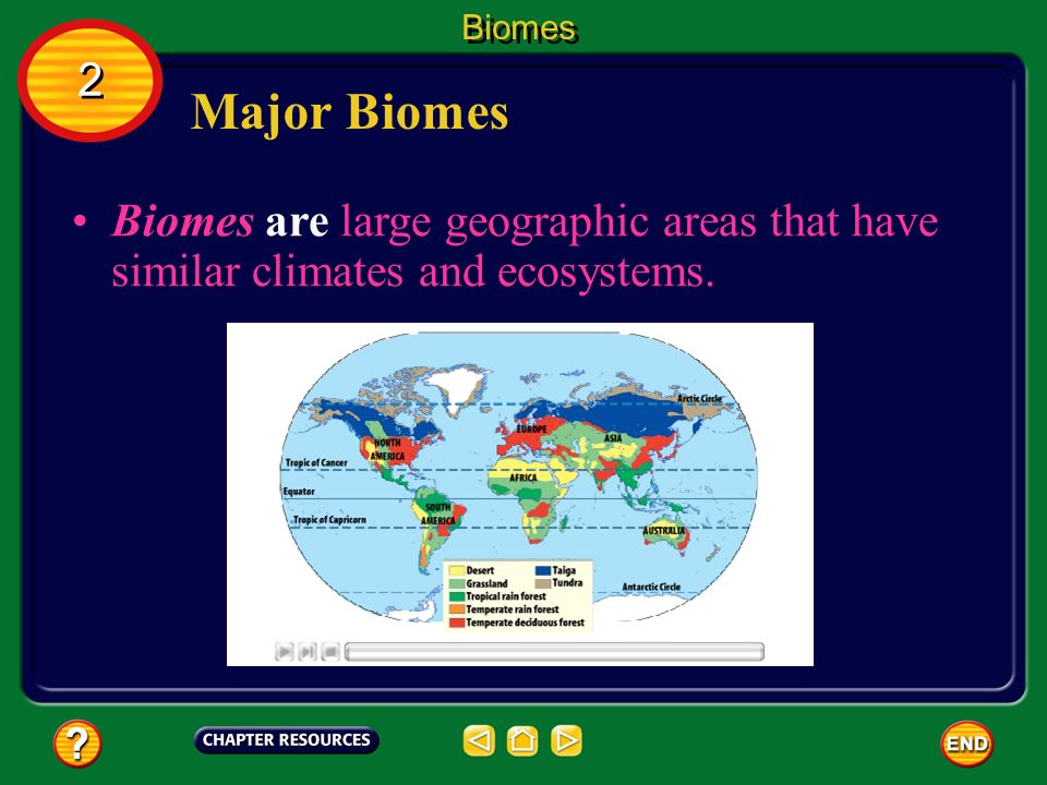 Biomes 2 Major Biomes Biomes are large geographic areas that have similar climates and ecosystems.