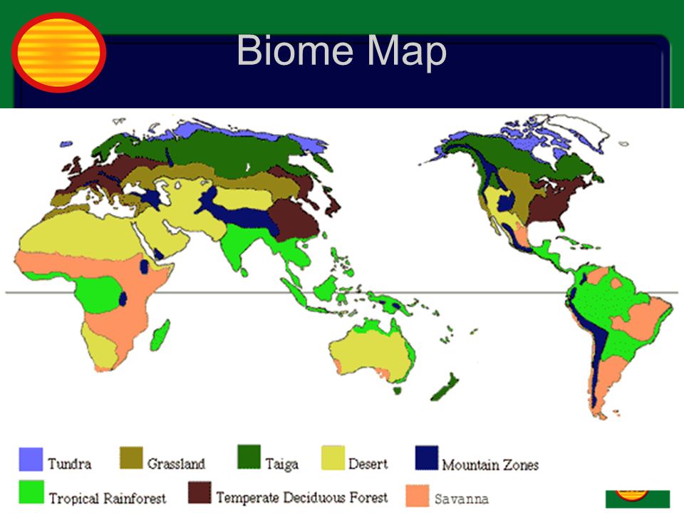 Biome Map