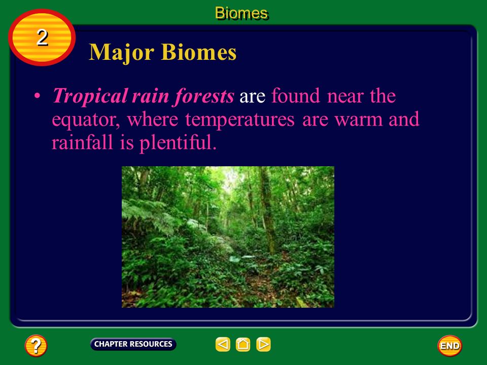 Biomes 2. Major Biomes.