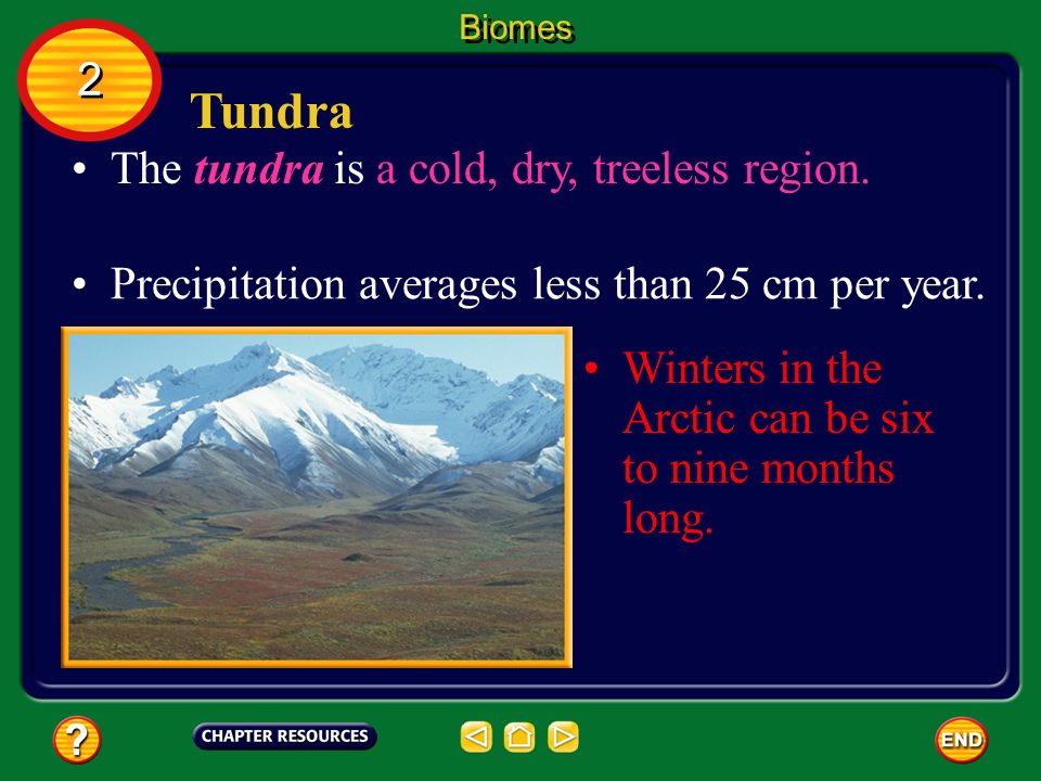 Tundra 2 The tundra is a cold, dry, treeless region.