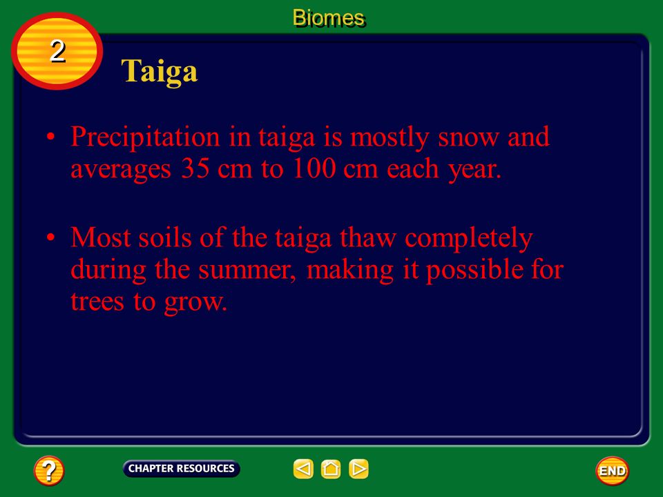 Biomes 2. Taiga. Precipitation in taiga is mostly snow and averages 35 cm to 100 cm each year.