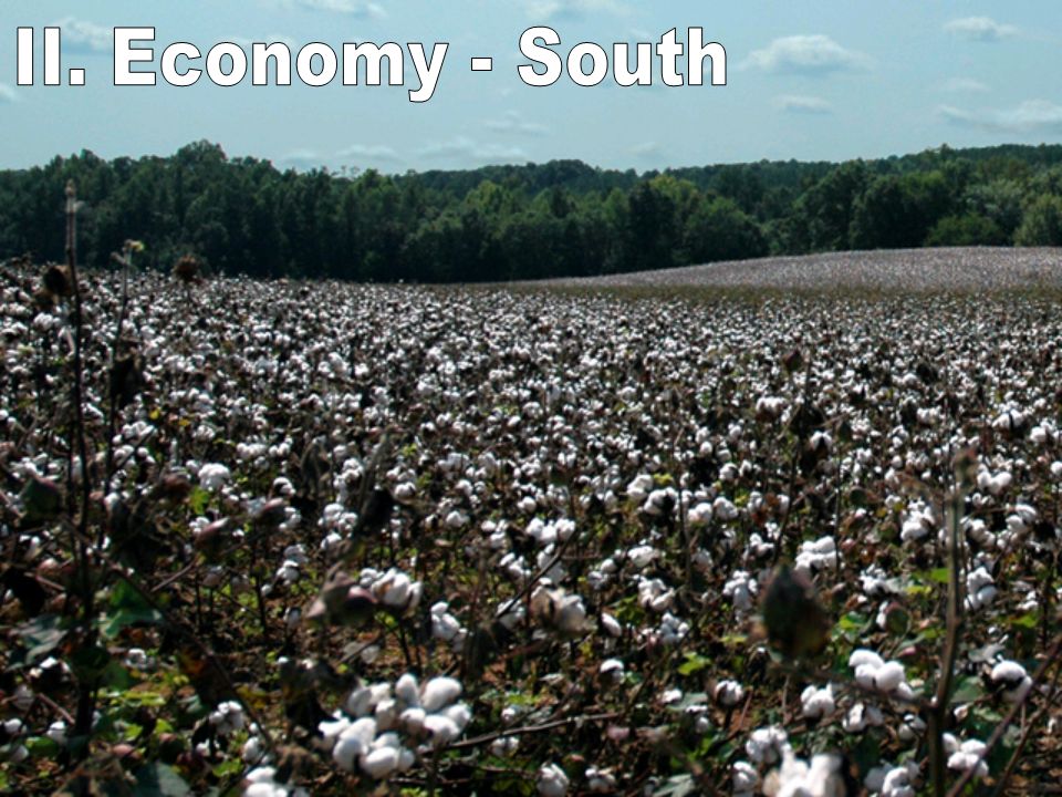 II. Economy - South