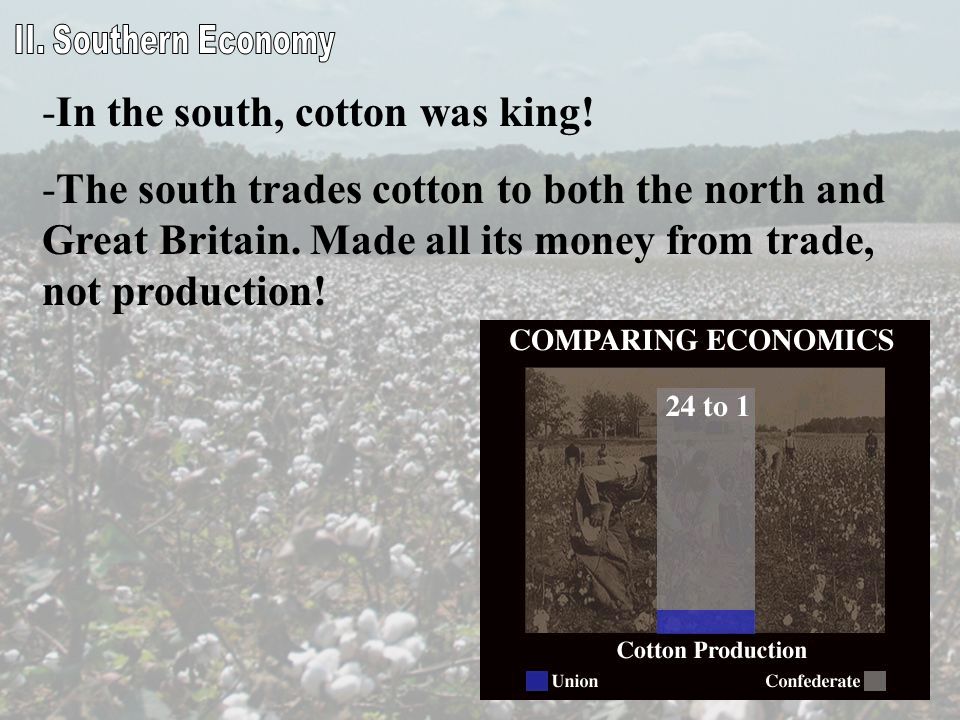 In the south, cotton was king!
