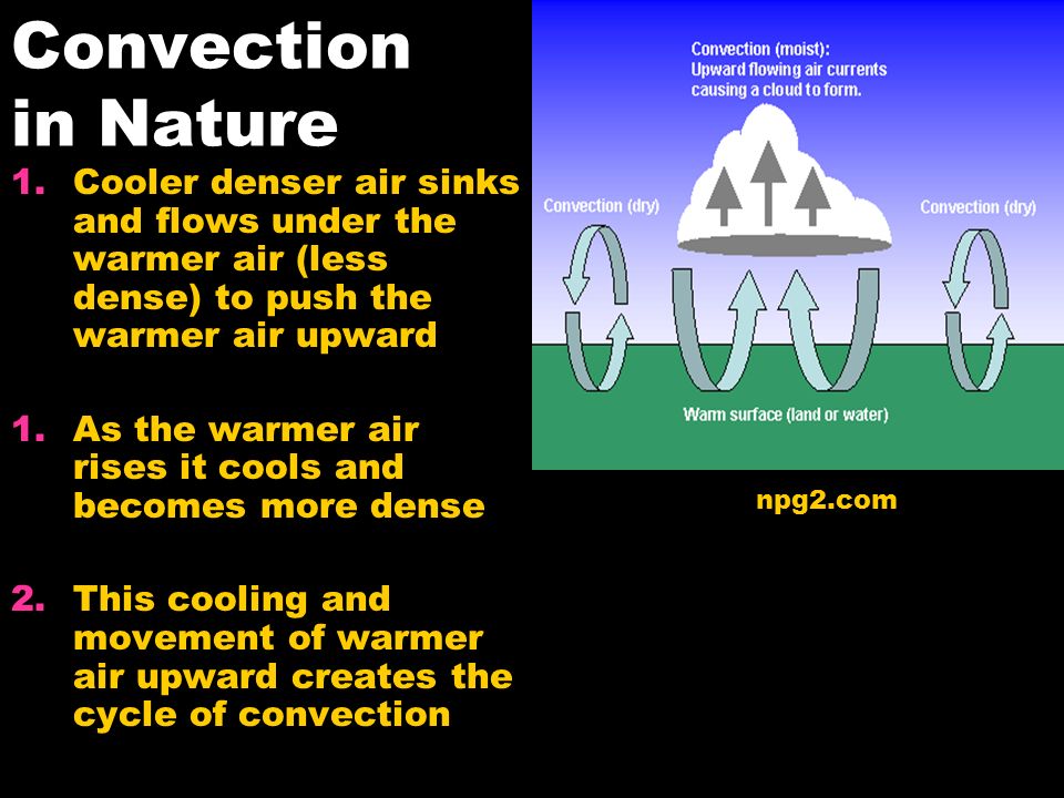 Convection in Nature Cooler denser air sinks and flows under the warmer air (less dense) to push the warmer air upward.