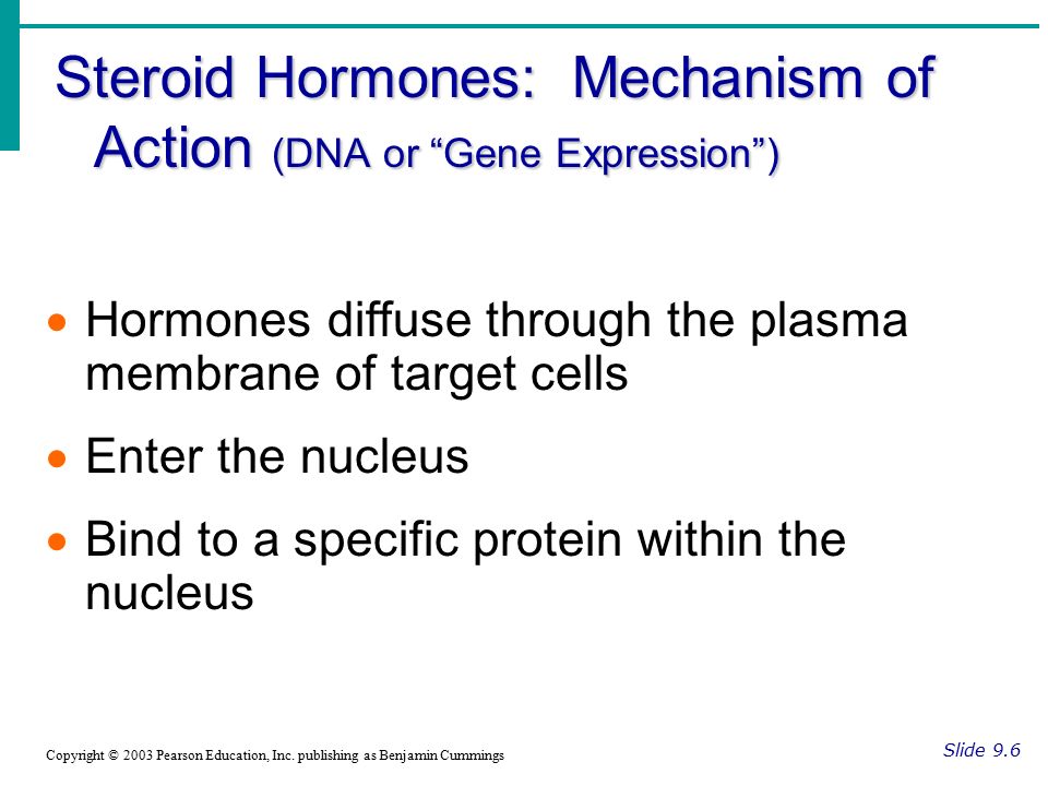 Steroid Hormones: Mechanism of Action (DNA or Gene Expression )