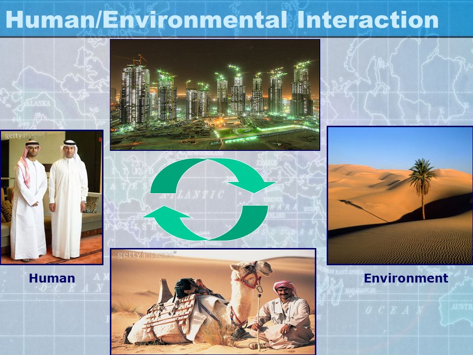 Human/Environmental Interaction