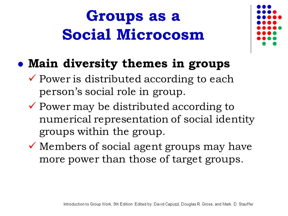 Groups as a Social Microcosm