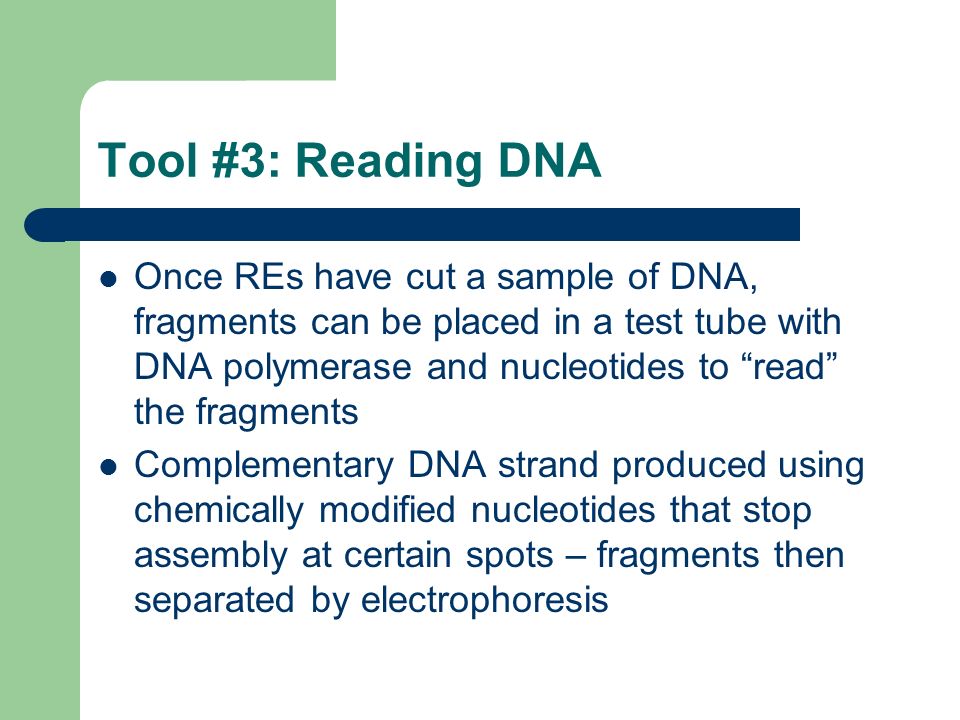 Tool #3: Reading DNA