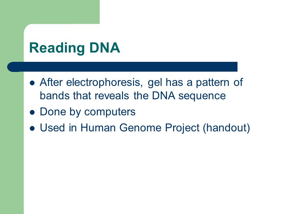 Reading DNA After electrophoresis, gel has a pattern of bands that reveals the DNA sequence. Done by computers.