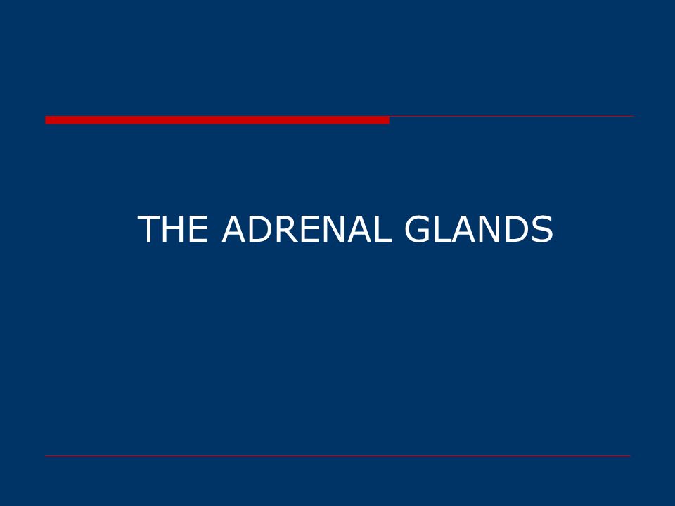 THE ADRENAL GLANDS