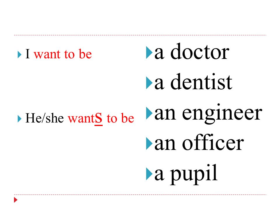 a doctor a dentist an engineer an officer a pupil I want to be
