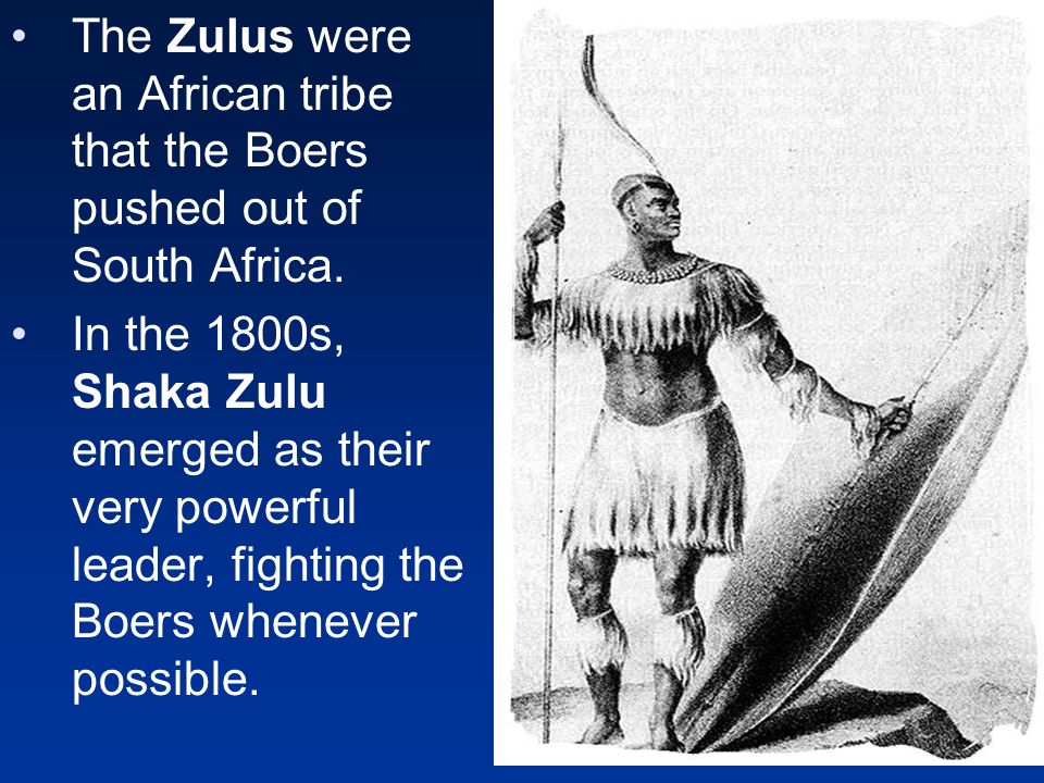 The Zulus were an African tribe that the Boers pushed out of South Africa.