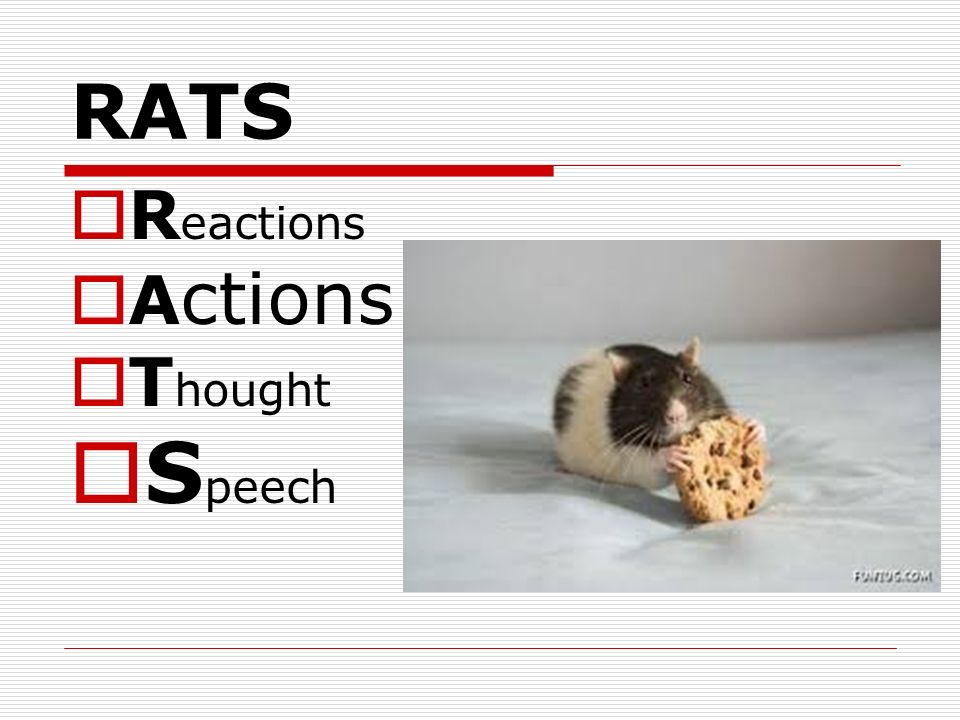 RATS Reactions Actions Thought Speech