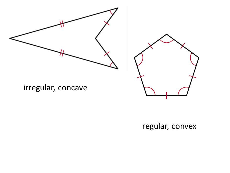 irregular, concave regular, convex