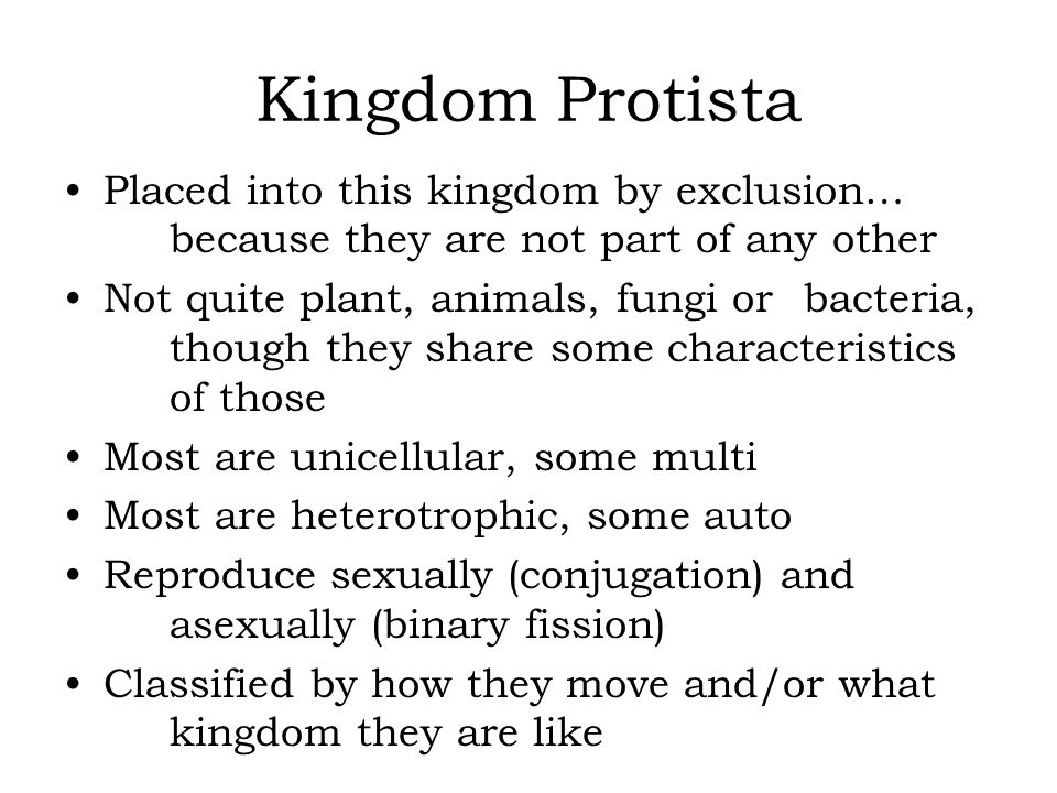 Kingdom Protista Placed Into This Kingdom By Exclusion Because They Are Not Part Of Any Other Not Quite Plant Animals Fungi Or Bacteria Though They Ppt Video Online Download