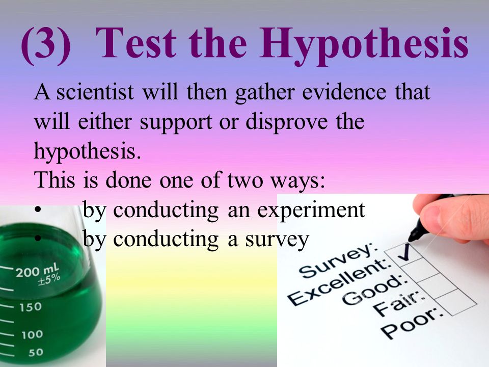 (3) Test the Hypothesis A scientist will then gather evidence that will either support or disprove the hypothesis.