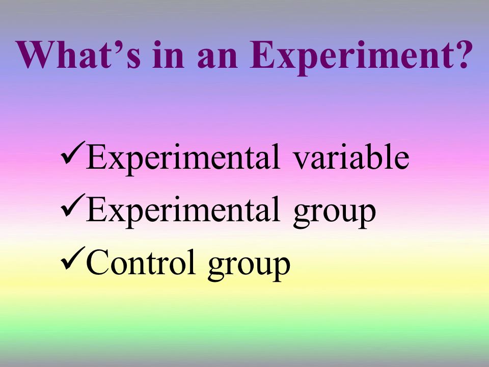 What’s in an Experiment