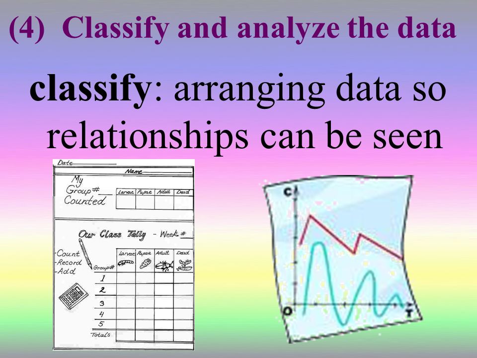 (4) Classify and analyze the data