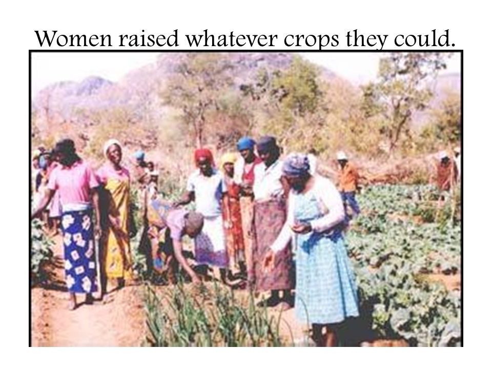 Women raised whatever crops they could.