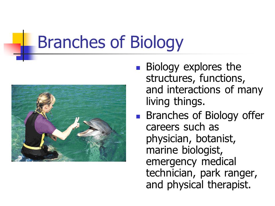 Branches of Biology Biology explores the structures, functions, and interactions of many living things.
