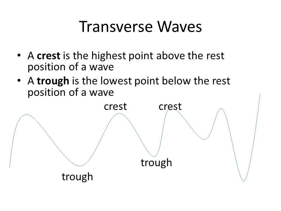Transverse Waves A crest is the highest point above the rest position of a wave. A trough is the lowest point below the rest position of a wave.