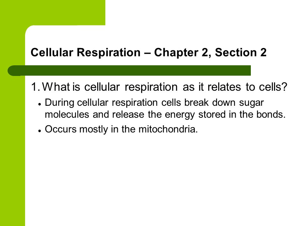 Cellular Respiration – Chapter 2, Section 2