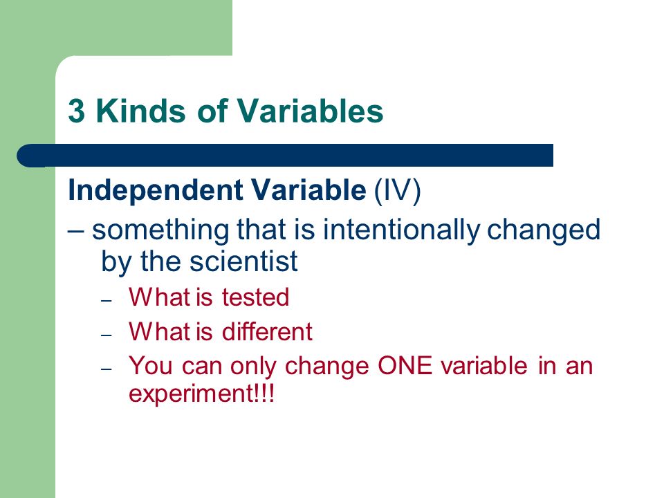 3 Kinds of Variables Independent Variable (IV)