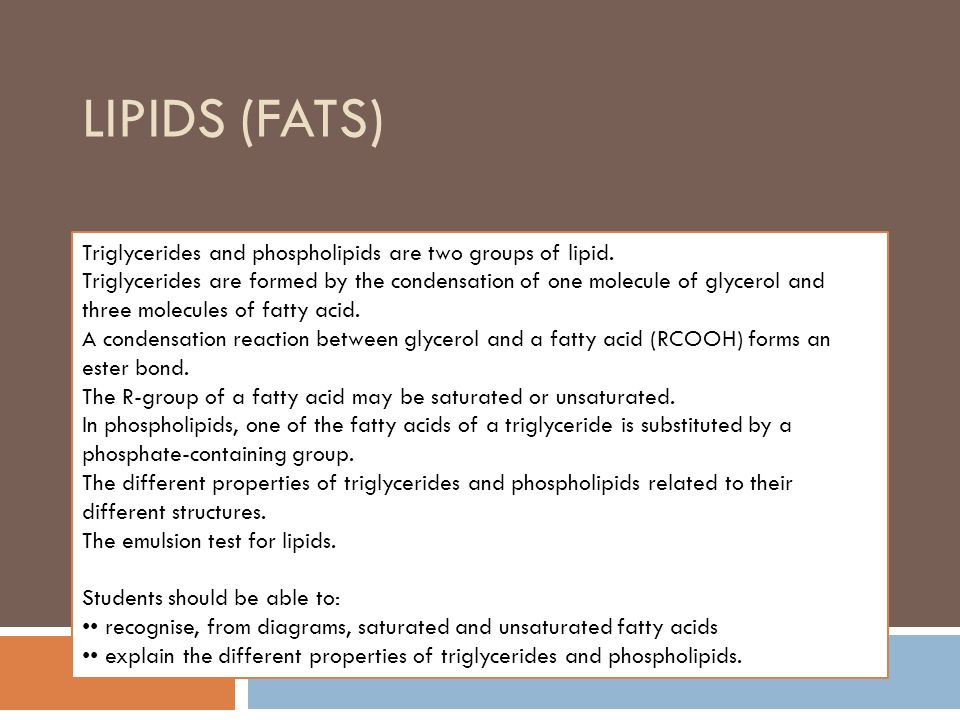 Lipids Fats Triglycerides And Phospholipids Are Two Groups Of
