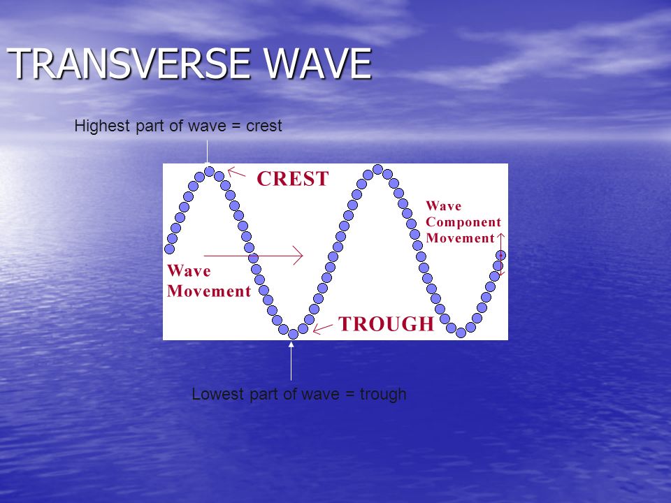 TRANSVERSE WAVE Highest part of wave = crest