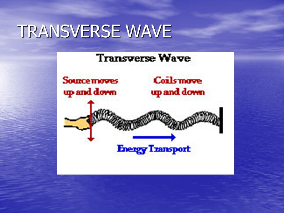 TRANSVERSE WAVE