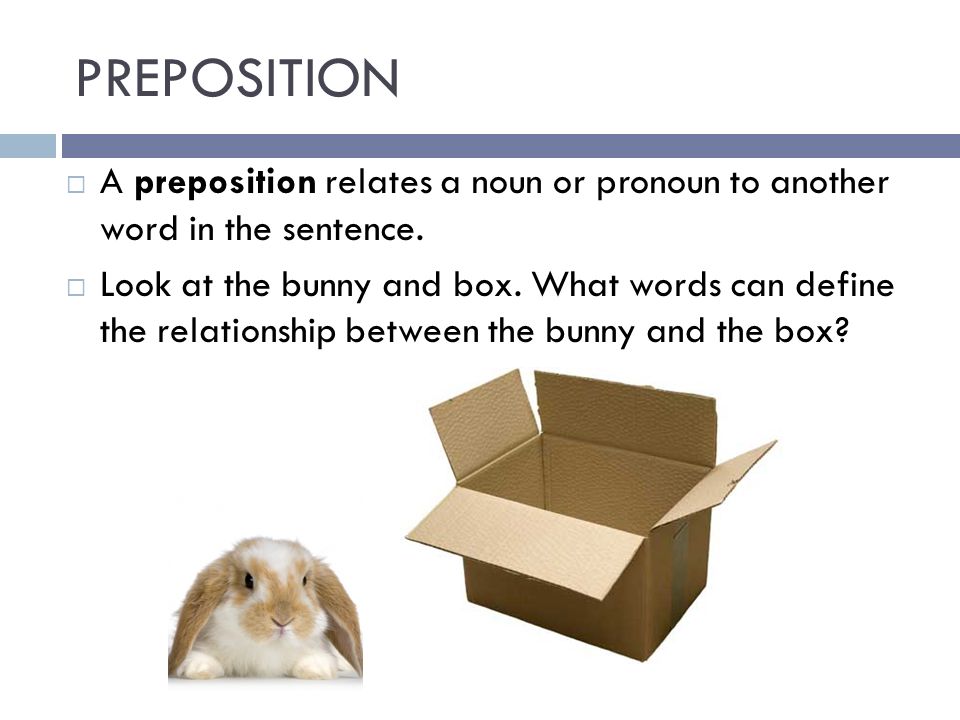 PREPOSITION A preposition relates a noun or pronoun to another word in the sentence.