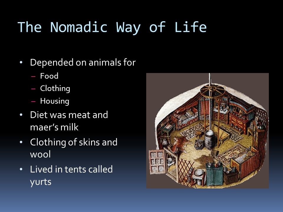 The Nomadic Way of Life Depended on animals for