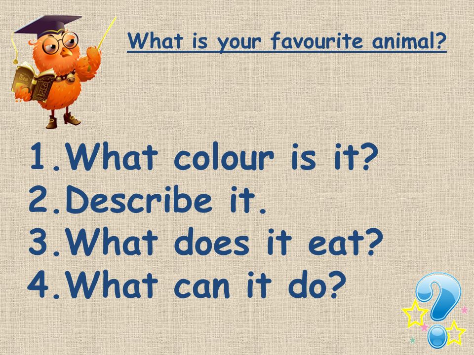What colour is it Describe it. What does it eat What can it do