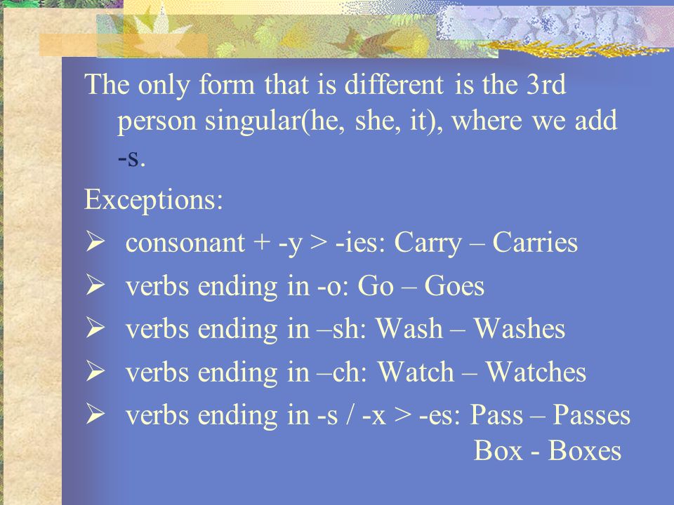 The only form that is different is the 3rd person singular(he, she, it), where we add -s.