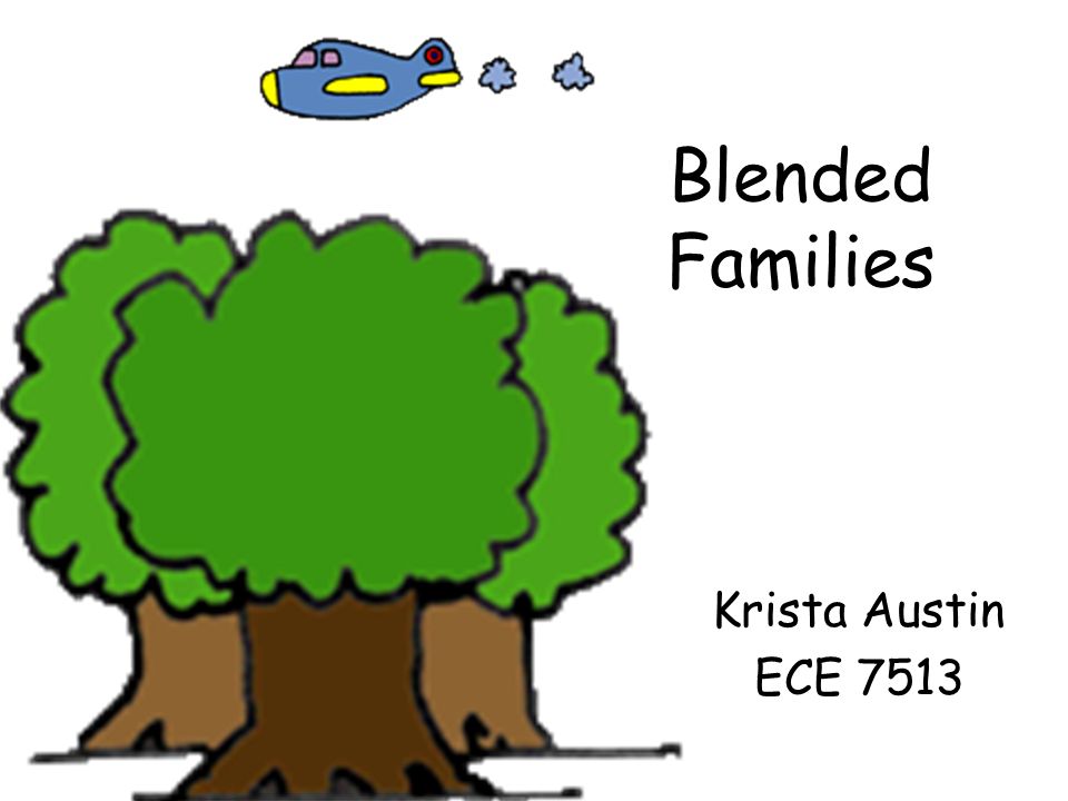 blended family definition sociology