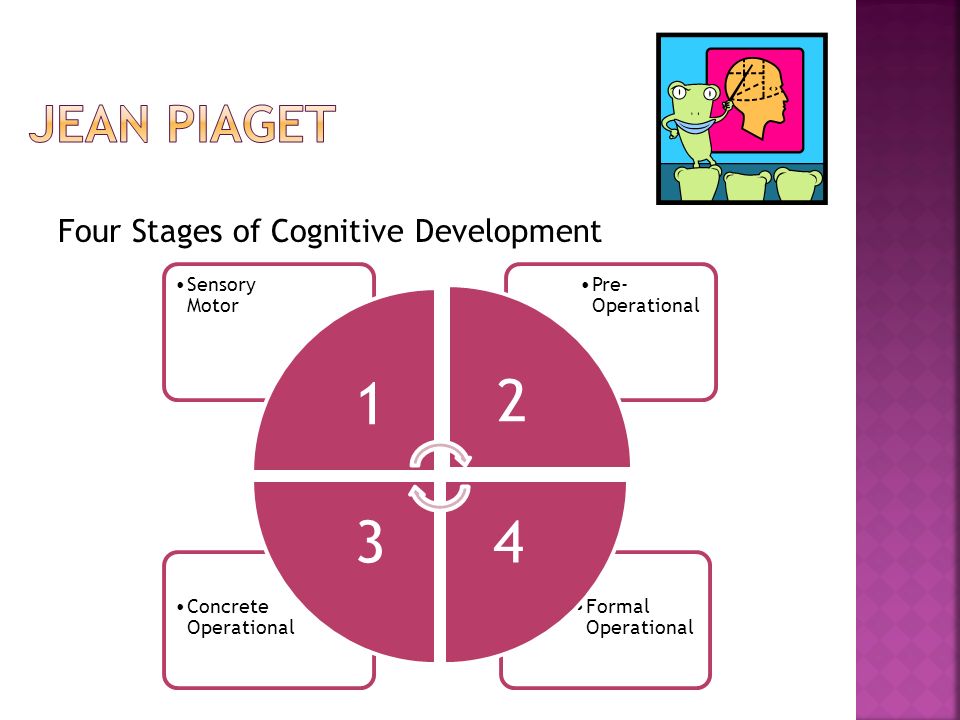 Jean Piaget Four Stages of Cognitive Development 1 Sensory Motor 2