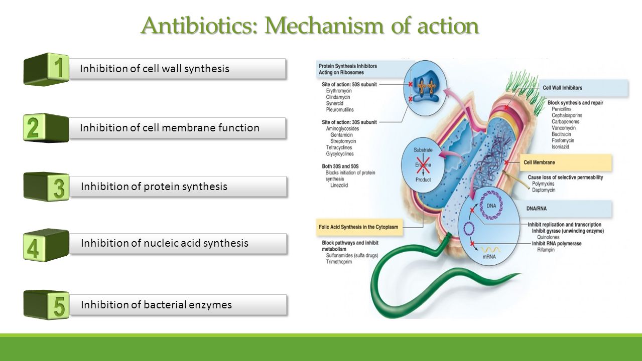 Anal itching and antibiotics